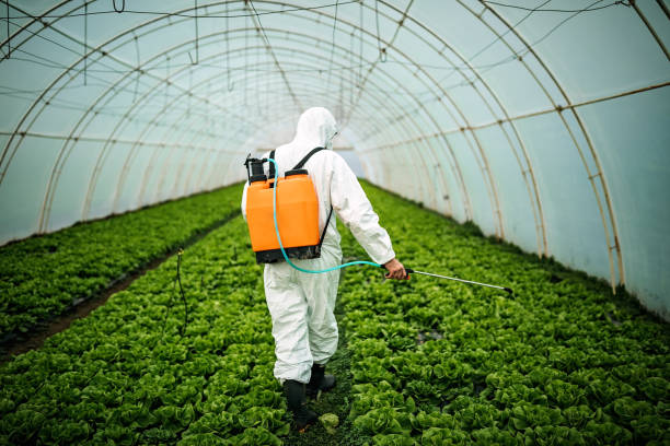 Best Pest Removal Services  in Holiday Heights, NJ