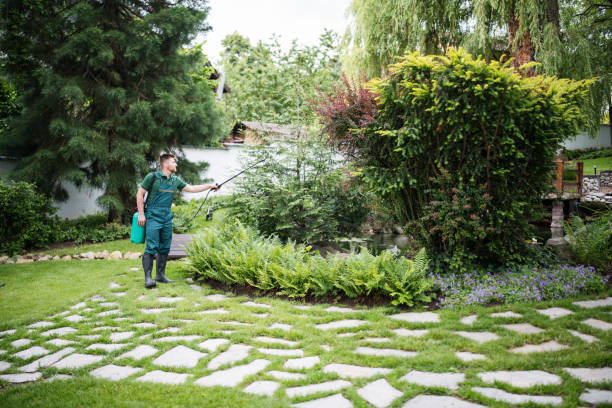 Best Pest Control Cost  in Holiday Heights, NJ