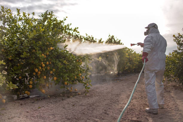 Trusted Holiday Heights, NJ Pest Control Experts