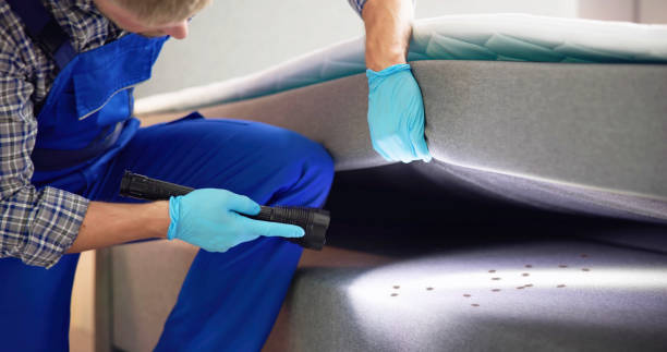 Best Termite Control Services  in Holiday Heights, NJ