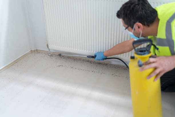 Best Best Pest Control Companies  in Holiday Heights, NJ